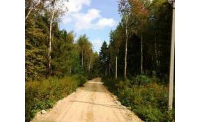 “Лесные пруды” Дорожные работы