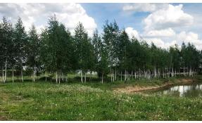 “Николины сады” Благоустройство