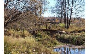 “Лесные пруды” Мостик