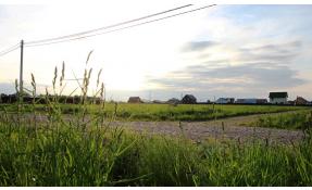 “Дороховы дачи” Впечатление от поселка