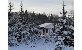 “Землетека” Первый снег!