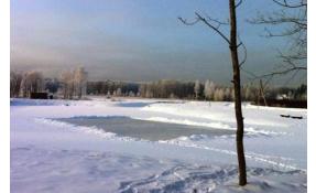 “Луговое” Каток