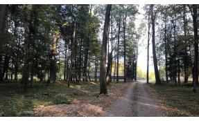 “Лесные пруды” Бархатная осень