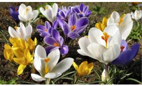 “Землетека” С праздником 8 марта!