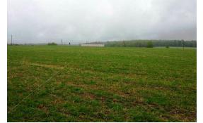 “Северный берег 1” Начались работы в поселке