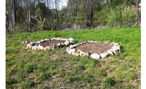 “Лесное” Аптекарский огород