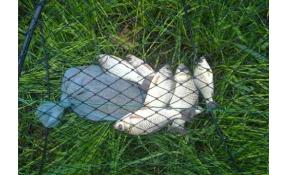 “Лесное” Открываем рыбалку на пруду