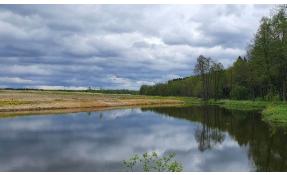 “Узоры” Благоустройство пруда