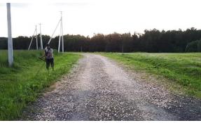 “Северный берег” Летние заботы