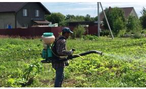 “Землетека” Борьба с  борщевиком не прекращается
