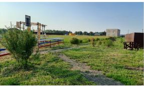 “Северный берег 3” Очередной покос