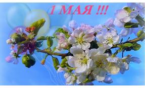 “Землетека” Первомай! Открытие дачного сезона!