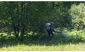 “Землетека” Борьба с борщевиком