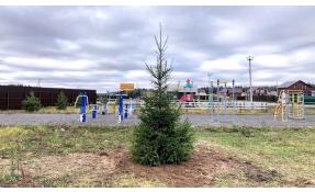 “Загородный” До Нового года осталось 2 месяца