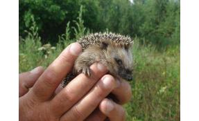 “Землетека” Желаем всем хороших выходных!