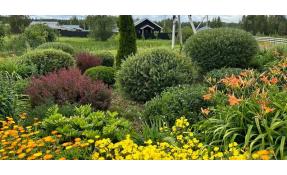 “Землетека” Фотографии от нашего садовника