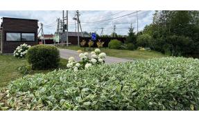 “Землетека” Фотографии от садовника (2)