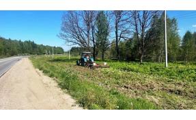 “Землетека” Месячник борьбы с борщевиком