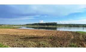 “Парус” Пляжная зона в Парусе