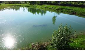 “Шапкино Парк” Жители поселка