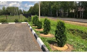 “Землетека” Летняя красота