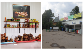 “Узоры” Инфраструктура деревни Плесенское