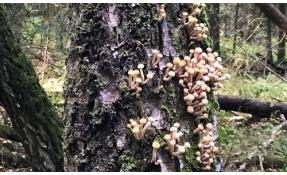 “Землетека” Началось!!!