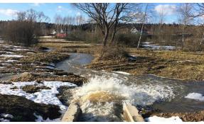 “Землетека” Весна!