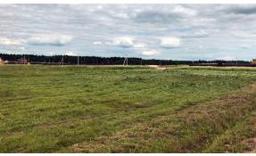 “Узоры” Покосы в поселке