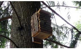 “Лесные пруды” Домик для птичек