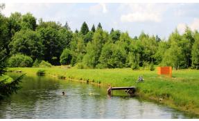 “Лесные пруды” Пляж на южном пруду