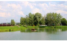 “Шапкино Парк” Пляжи поселка