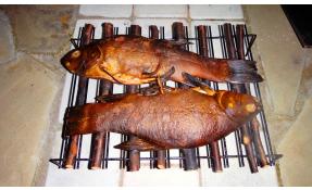 “Землетека” Дачная идея на выходные – коптим рыбу.