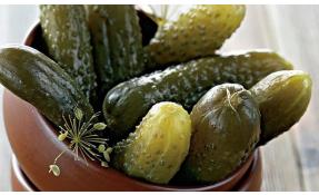 “Землетека” Дачная идея на выходные – бочковые огурчики.