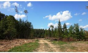 “Шапкино Парк” Инженерные сети второй очереди