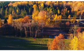 “Николины холмы” Золотая пора