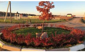 “Луговое” 