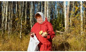 “Землетека” Последние грибы года