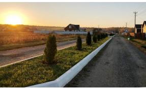 “Луговое” Туи на бульваре