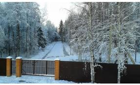 “Лесные пруды” Расчистка Лесного квартала от подлеска