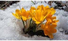 “Землетека” Поздравляем с праздником весны!