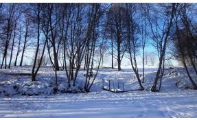 “Тихая речка” Благоустройство береговой линии.