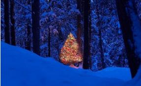 “Землетека” С Новым годом!