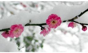 “Землетека” С праздником Весны!