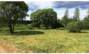 “Исток” Плановые покосы