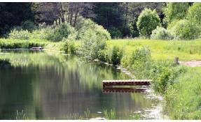 “Лесные пруды” Мостки для купания