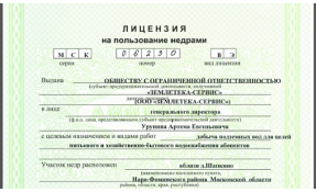 “Лесное” Получена лицензия на водопользование