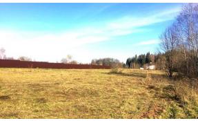 “Тихая речка” Покосы в поселке