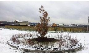 “Луговое” Благоустройство общественных зон