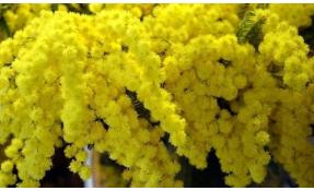 “Землетека” С 8 марта!